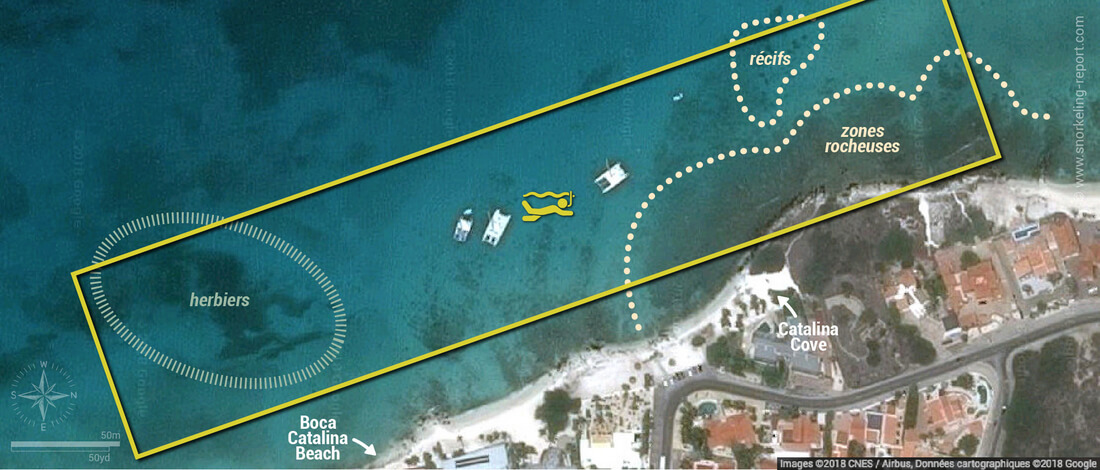 Carte snorkeling à Boca Catalina, Aruba