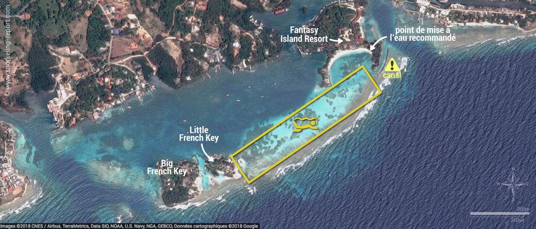 Carte snorkeling à French Key, Roatan