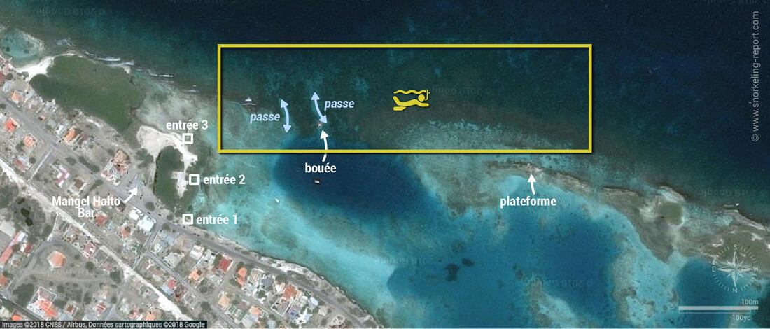 Carte snorkeling à Mangel Halto, Aruba