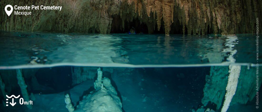 Snorkeling dans les cavités du Cenote Pet Cemetery, Mexique