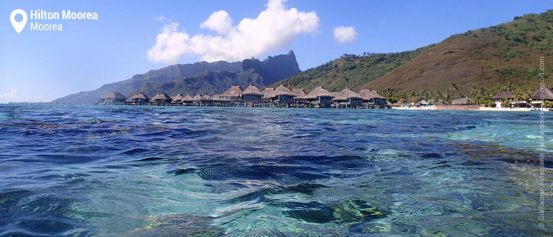 Hotel Hilton Moorea lagoon snorkeling