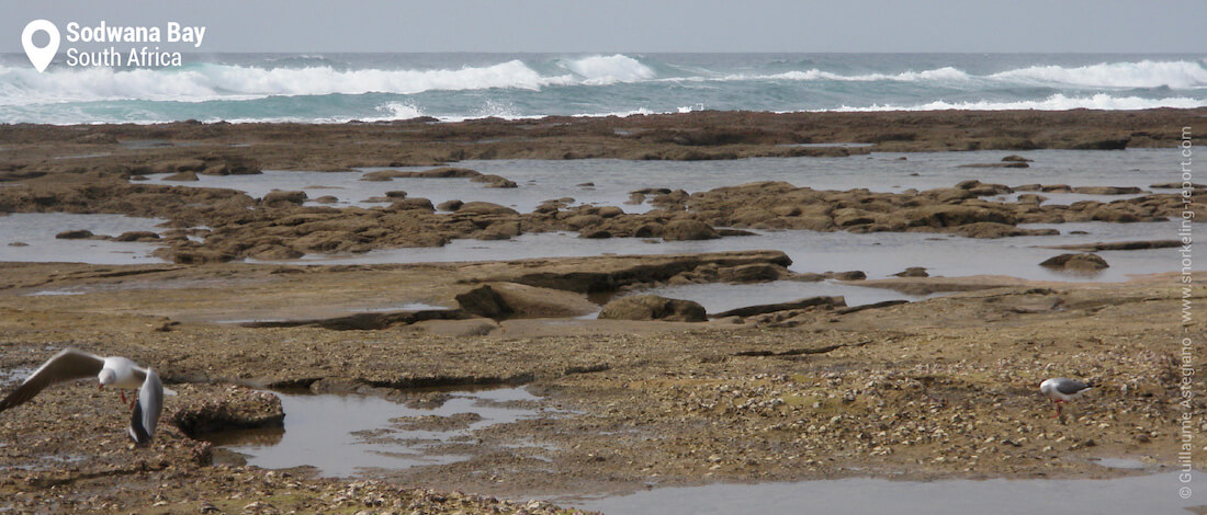 Jesser Point, Sodwana Bay