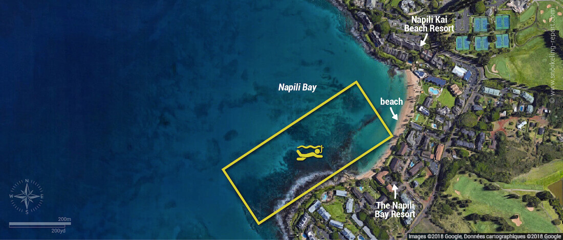 Napili Bay Maui snorkeling map