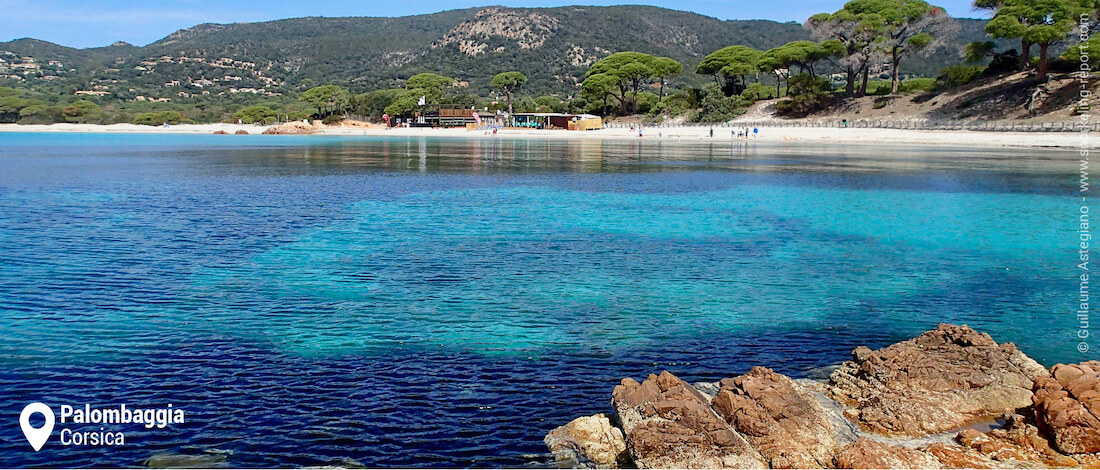 View of Palombaggia beach snorkeling area