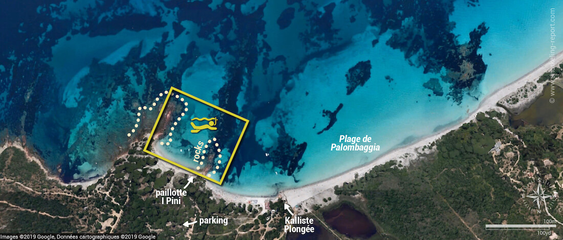 Palombaggia snorkeling map