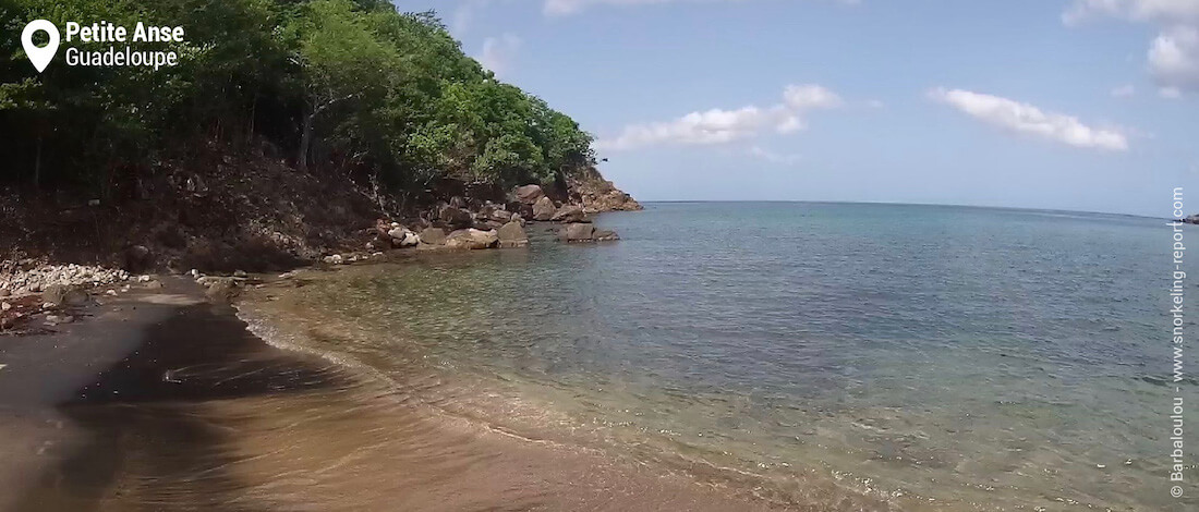 Petite Anse beach, Guadeloupe snorkeling