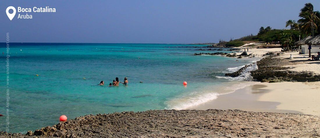 Plage de Boca Catalina, snorkeling à Aruba