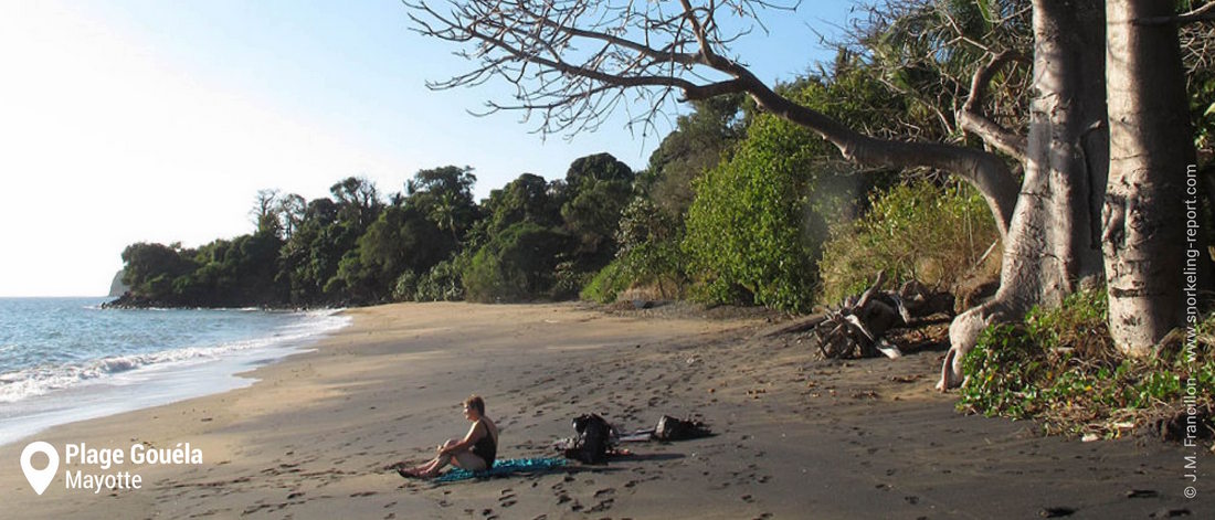 Snorkeling at Plage Gouéla, Mayotte