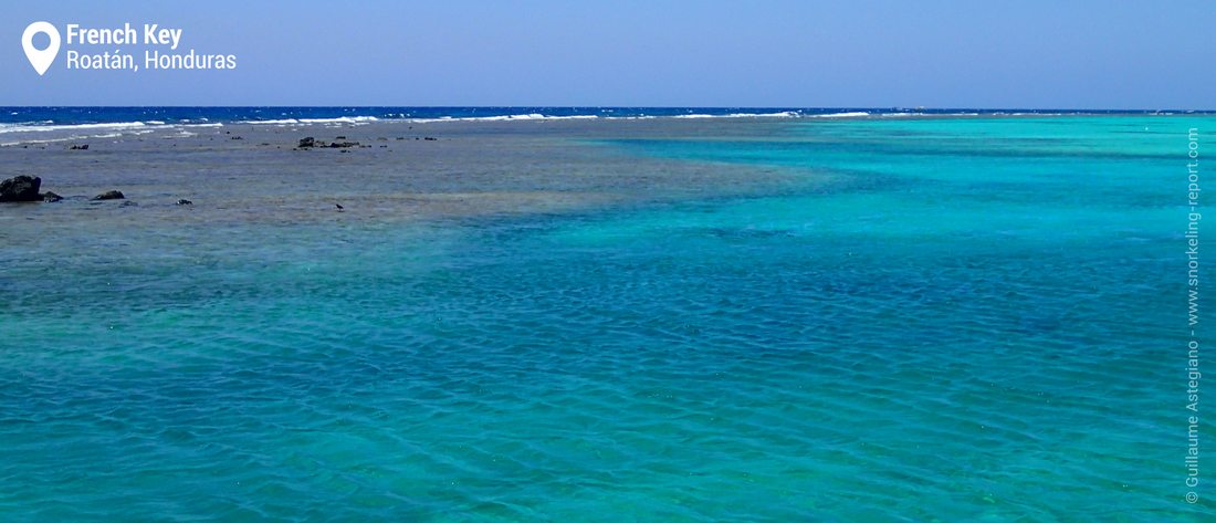 Vue sur le récif corallien de French Key, Roatan