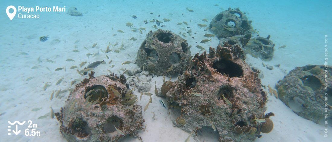 Reef balls at Playa Porto Mari, Curacao