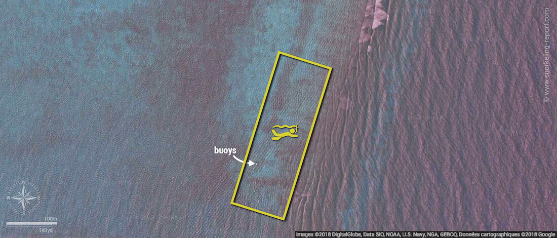 Shark Ray Alley snorkeling map, Belize