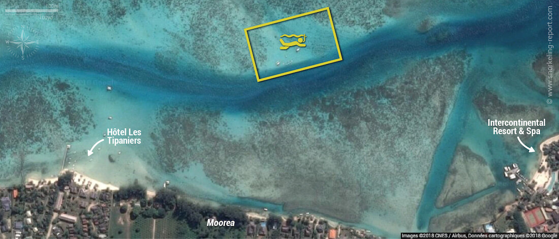 Sharks City snorkeling map, Moorea