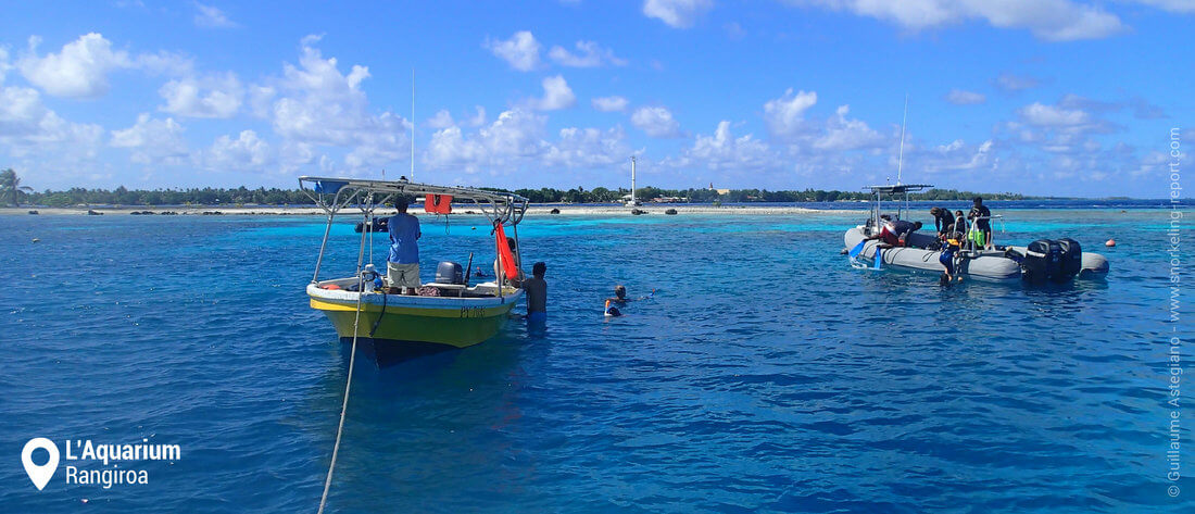 Snorkeling à l'Aquarium de Rangiroa