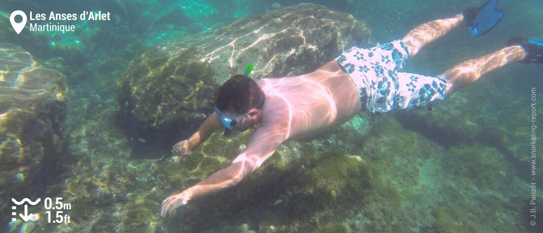 Snorkeling aux Anses d'Arlet, Martinique