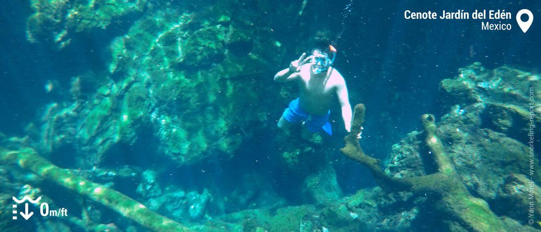 Snorkeling at Cenote Jardin del Eden, Mexico