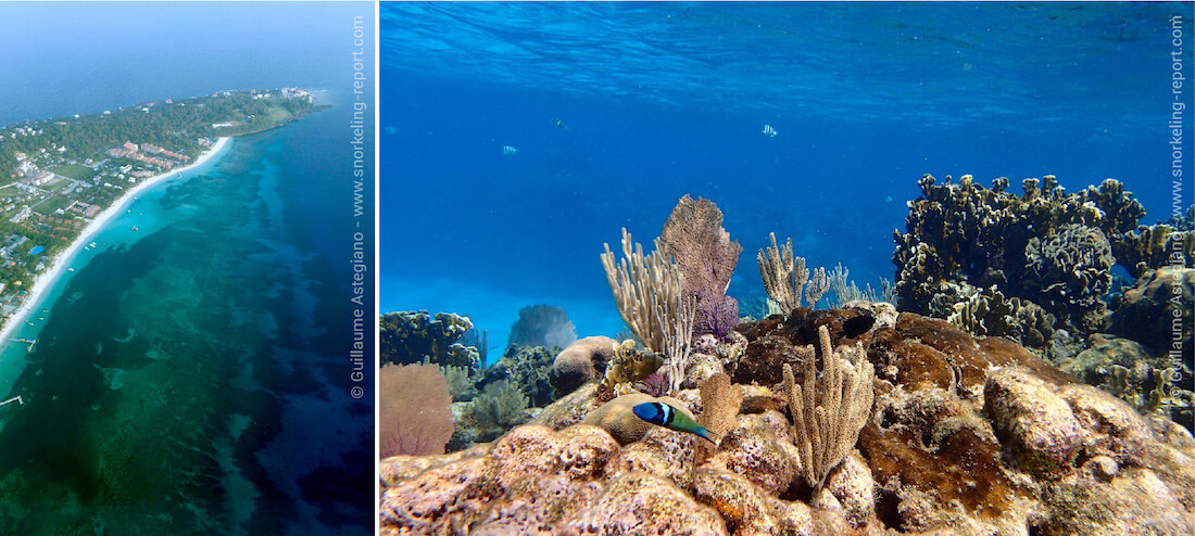 Snorkeling West Bay reef drop off, Roatan