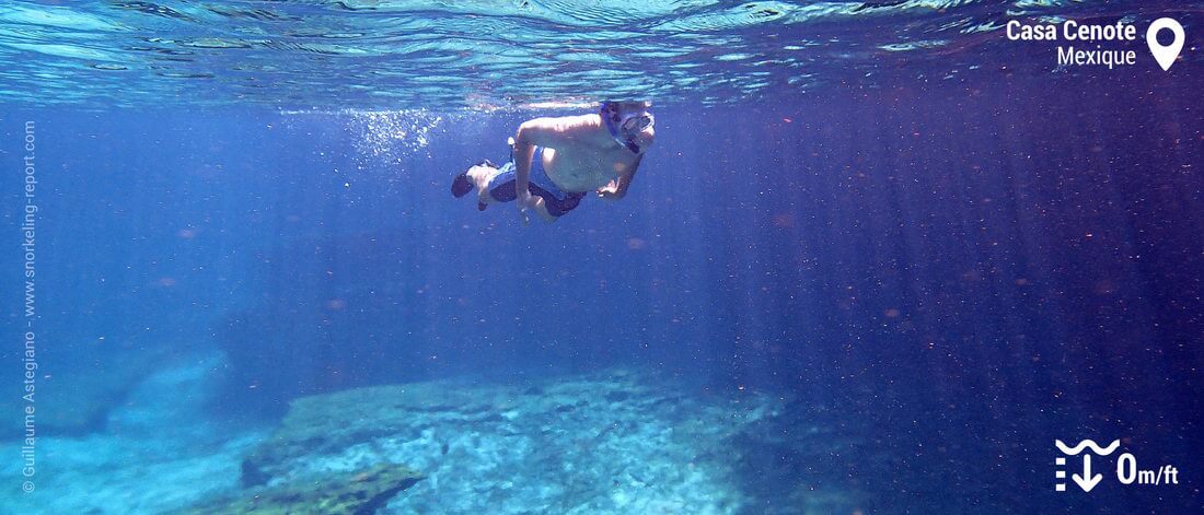 Snorkeling au Casa Cenote, Mexique