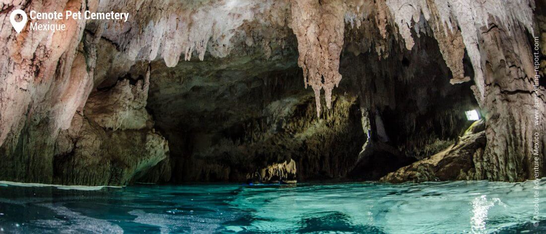 Snorkeling dans les cavités du Cenote Pet Cemetery, Mexique