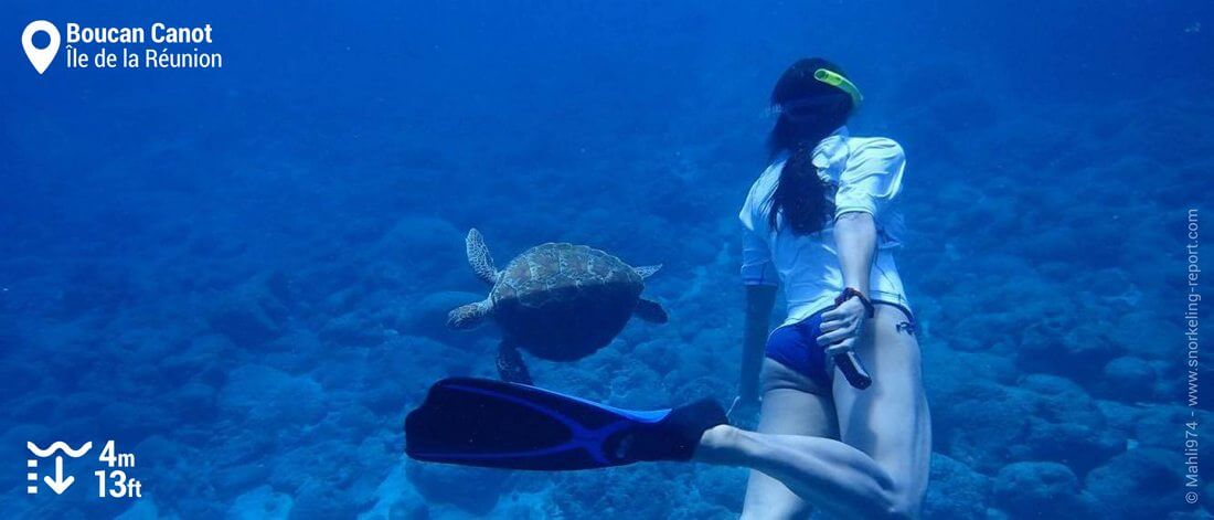 Snorkeling avec une tortue à Boucan Canot, La Réunion