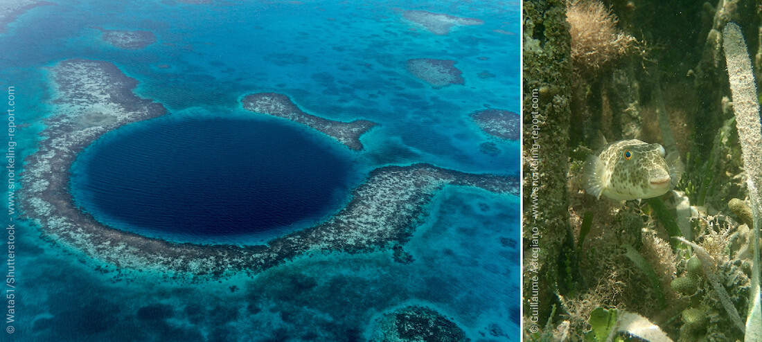 Snorkeling the Blue Hole of Belize