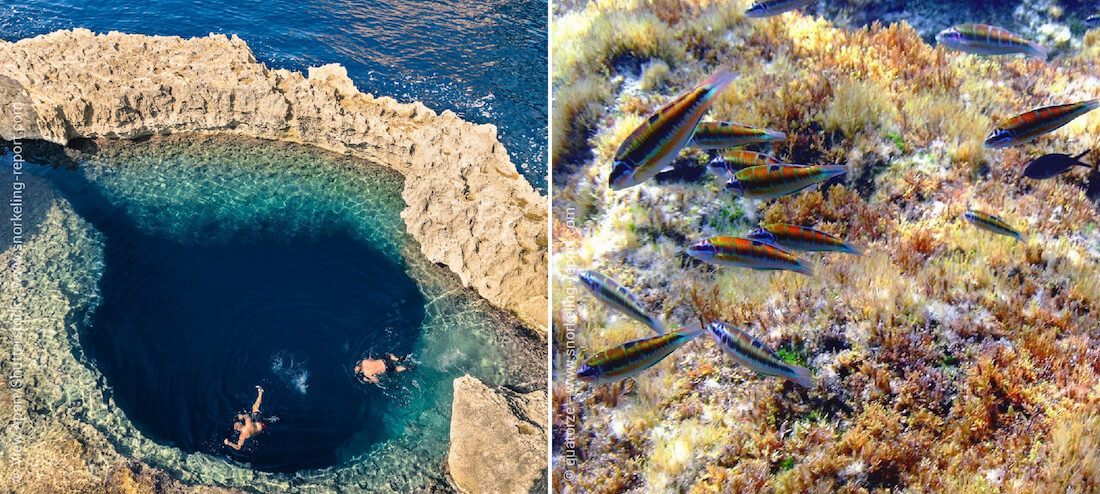 Snorkeling au Blue Hole de Gozo, Malte