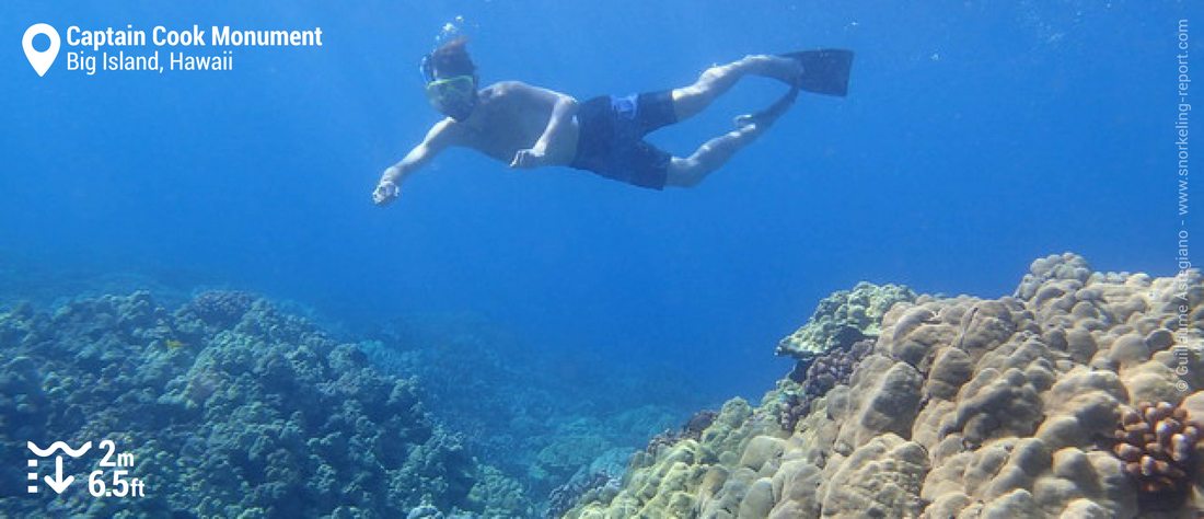 Snorkeling Captain Cook Monument