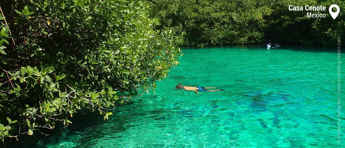 Snorkeling Casa Cenote, Mexico