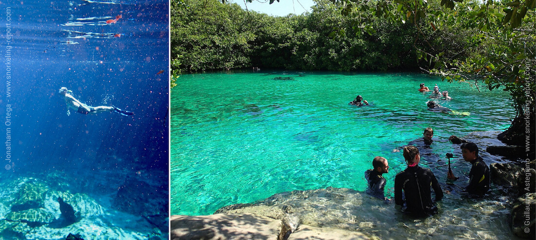 Snorkeling in the cenotes of the Mayan Riviera, Mexico