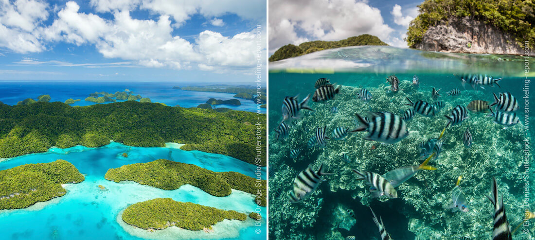 Snorkeling sur les récifs coralliens du Palaos