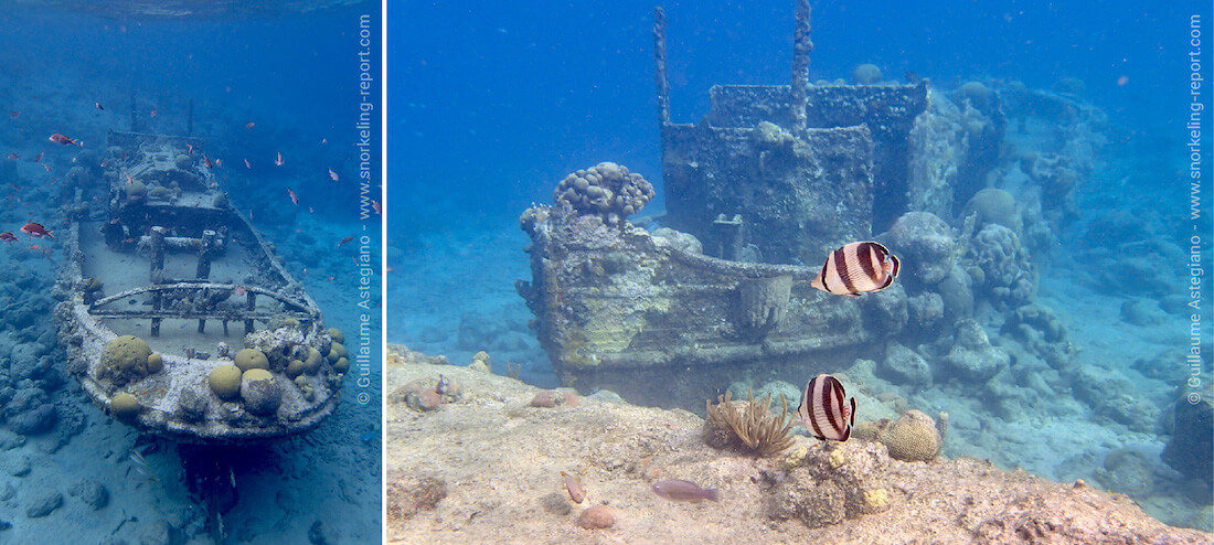 Snorkeling sur l'épave du Tugboat, à Curaçao