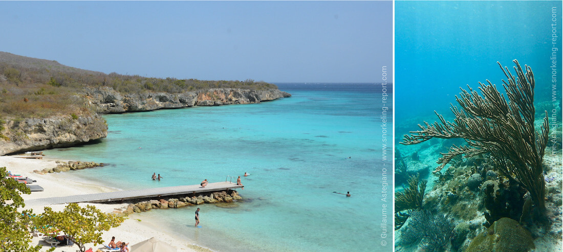 Snorkeling sur les plages de la côte Ouest de Curaçao