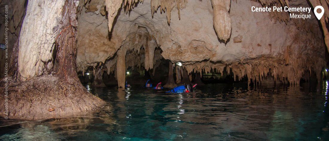 Snorkeling dans les cavités du Cenote Pet Cemetery, Mexique