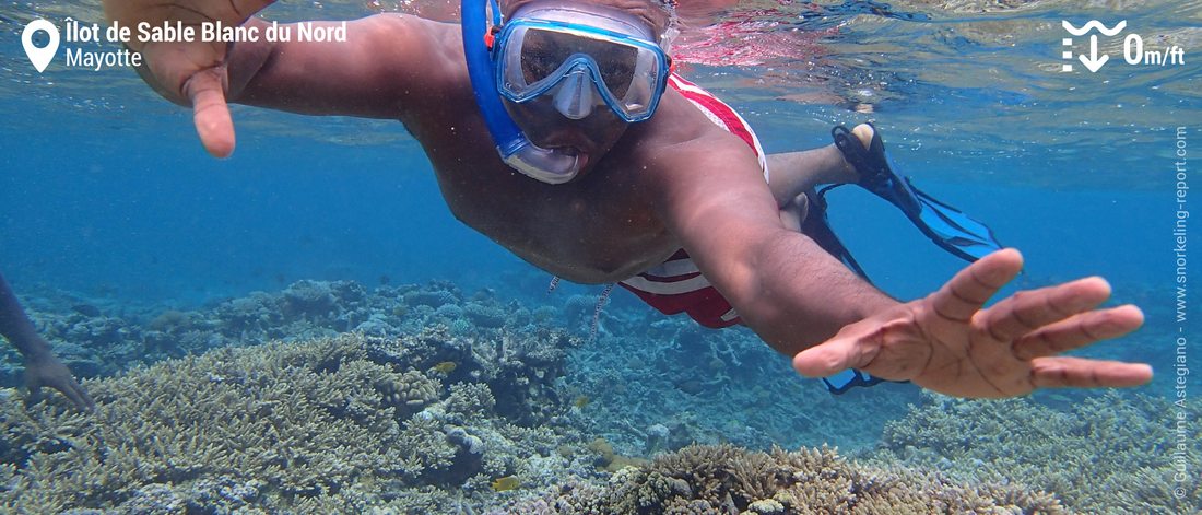 Snorkeling at îlot de Sable Blanc du Nord