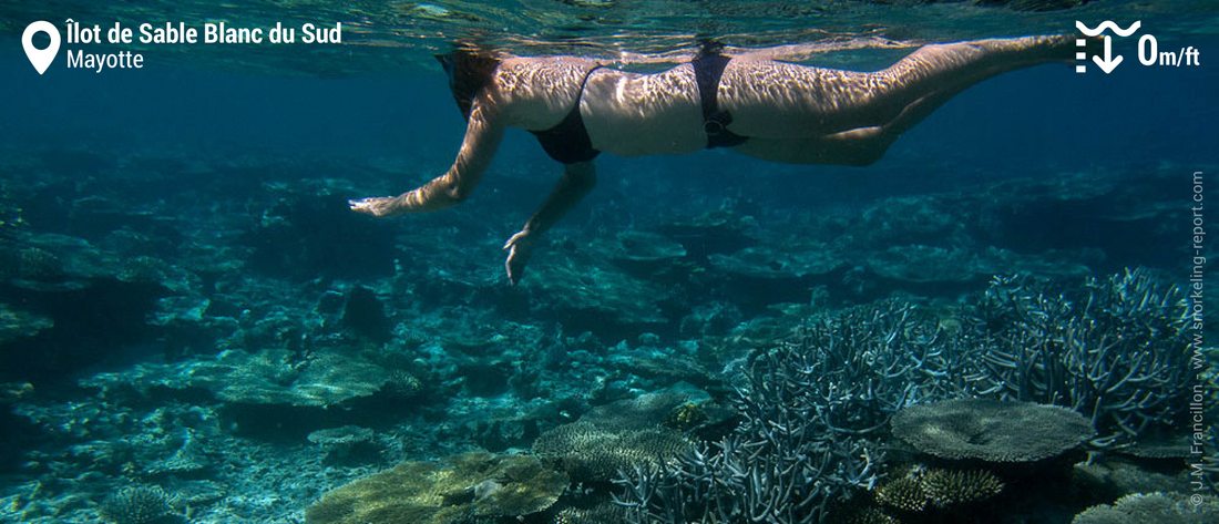 Snorkeling at îlot de Sable Blanc du Sud