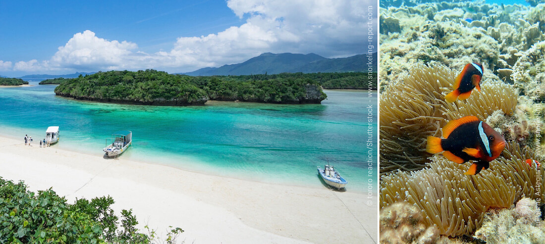 Snorkeling à Ishigaki, Japon