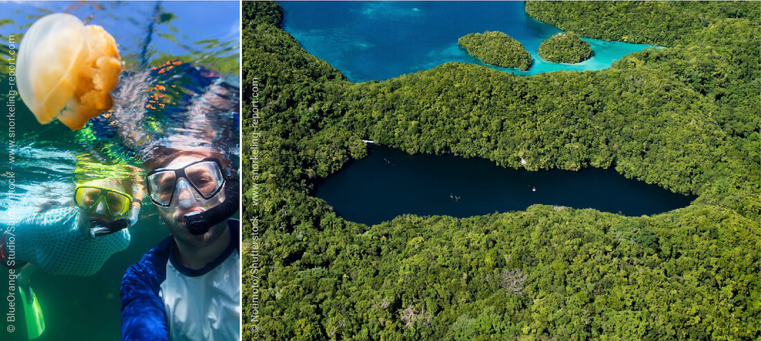 Snorkeling the Jellyfish Lake, Palau