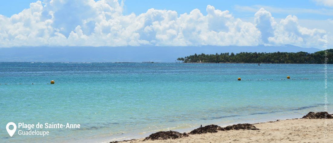 Snorkeling à la plage de Sainte-Anne, Guadeloupe