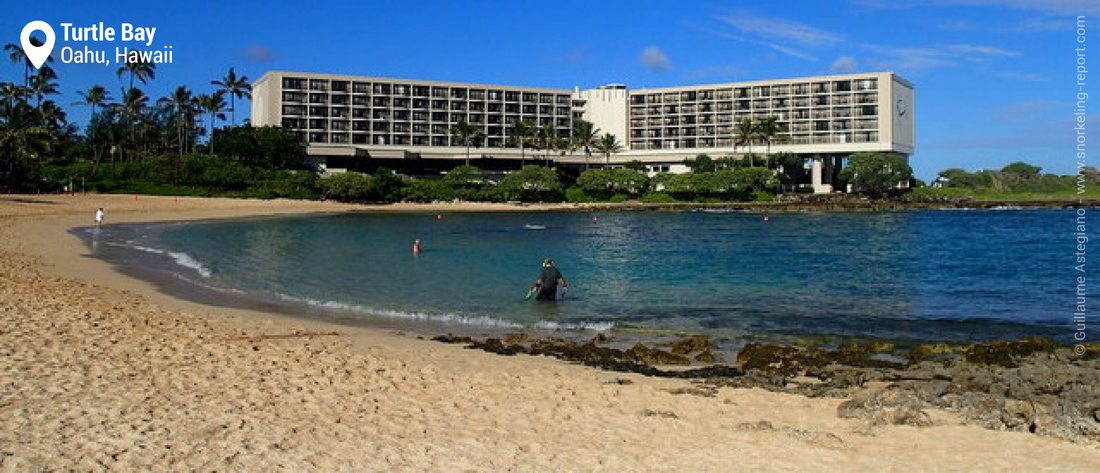 Snorkeling Turtle Bay Resort, Oahu