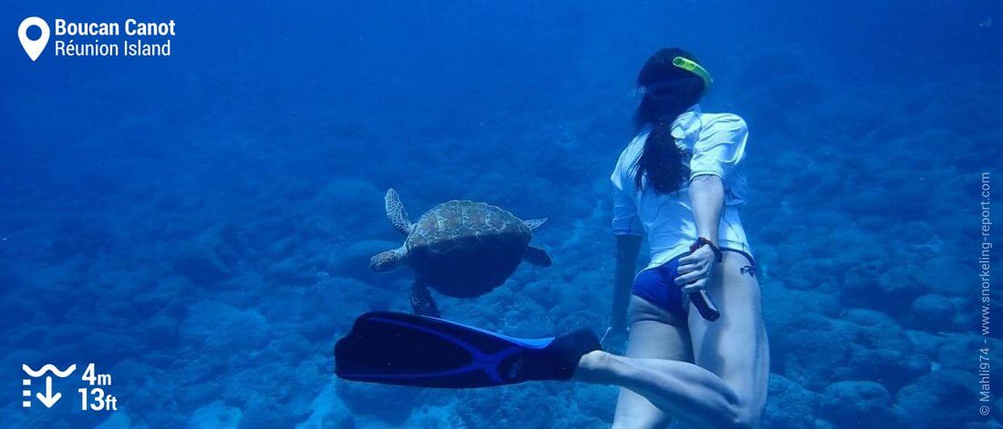 Snorkeling with sea turtle in Boucan Canot beach, Réunion Island