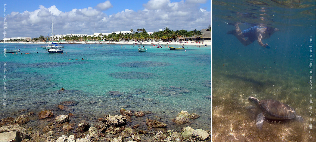 Snorkeling with sea turtles at Akumal Bay, Mexico