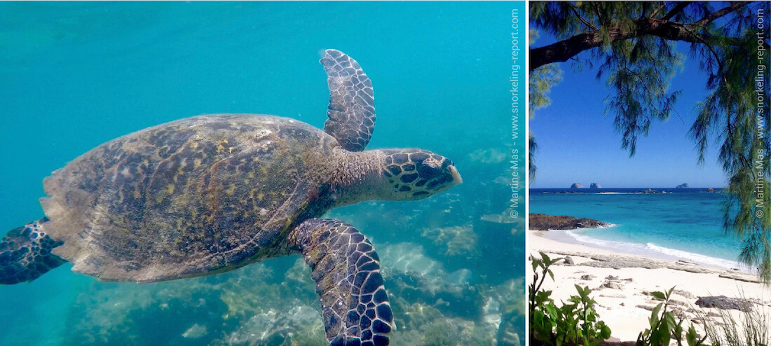 Snorkeling sur le récif de Tsarabanjina, Nosy Be