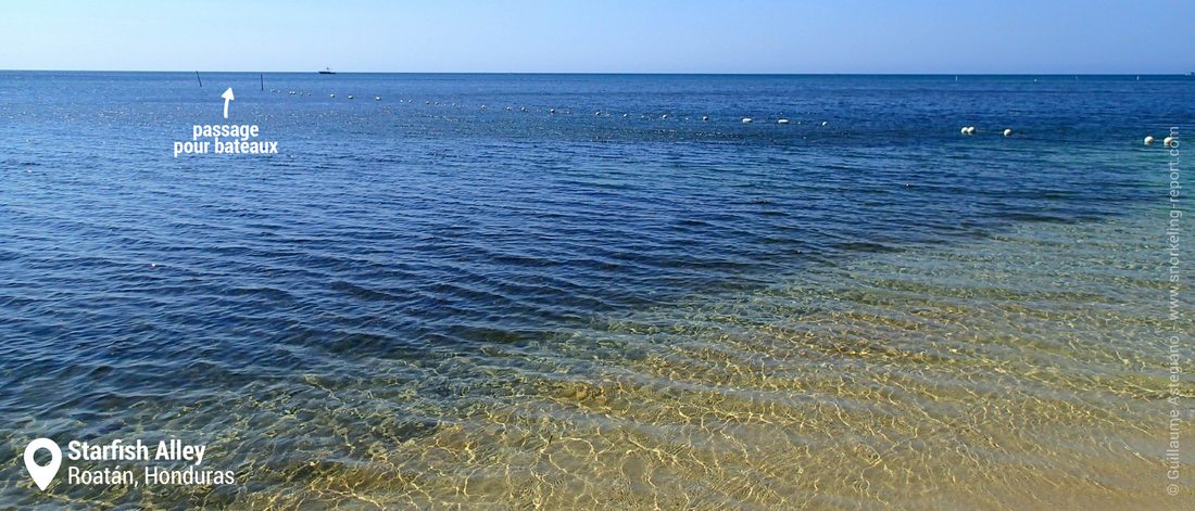 Le spot de Starfish Alley, Roatan