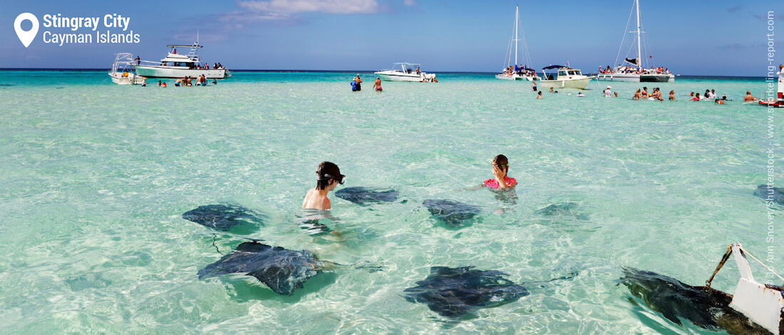 Snorkeling with southern stingray at Stingray City, Cayman Islands