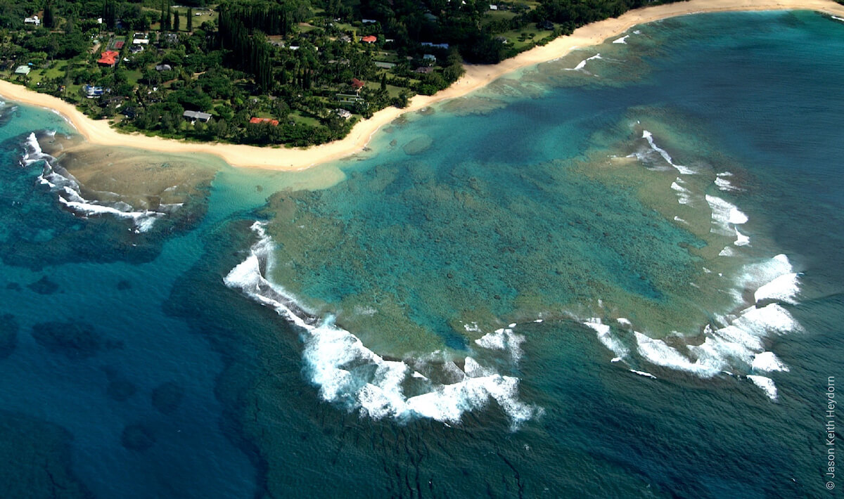 Tunnels Beach reef