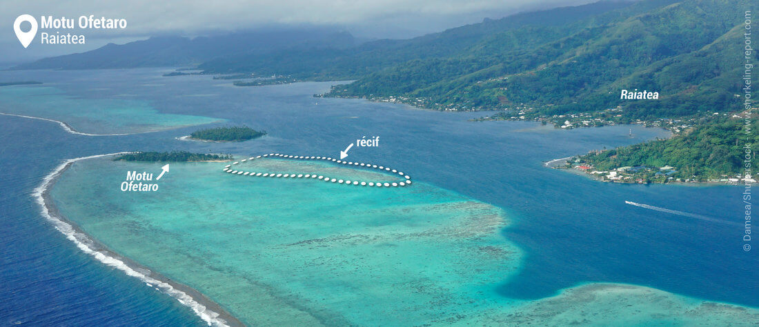 Vue aérienne du Motu Ofetaro - Snorkeling à Raiatea