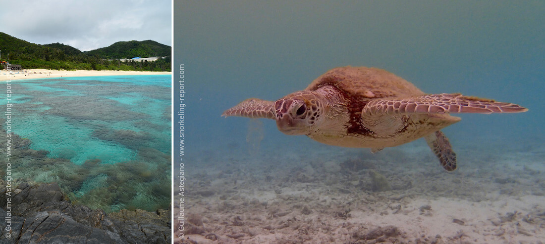 Snorkeling aux îles Zamami, Okinawa, Japon