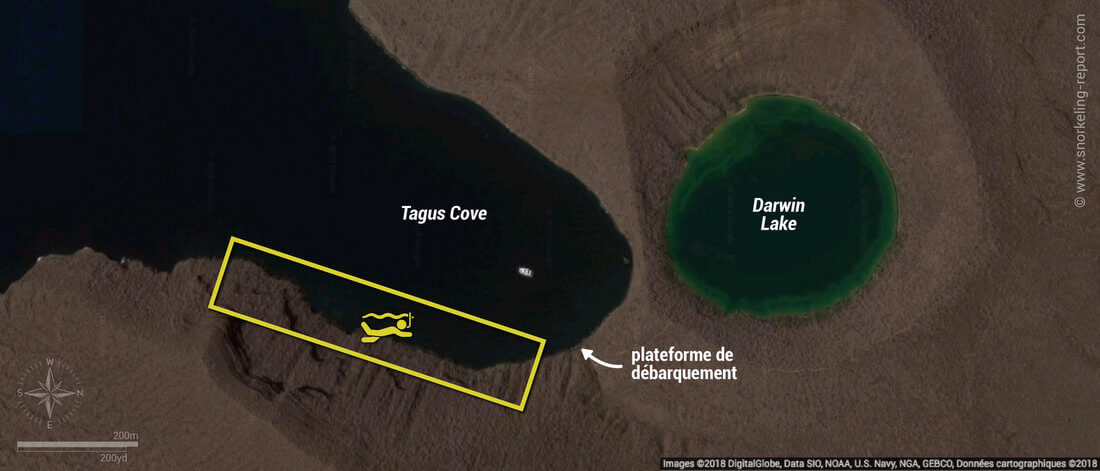 Carte snorkeling à Tagus Cove, Isabela