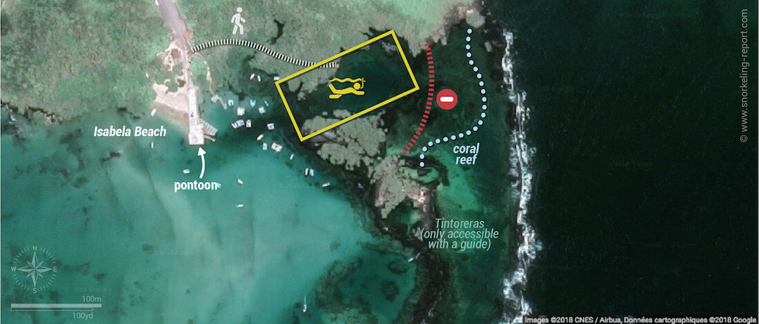 Concha de Perla snorkeling map, Isabela