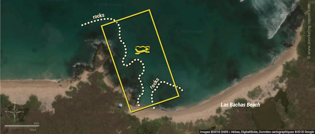 Las Bachas beach snorkeling map, Santa Cruz