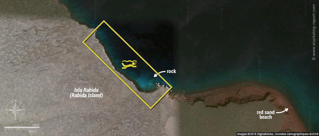 Rabida Island snorkeling map, Galapagos
